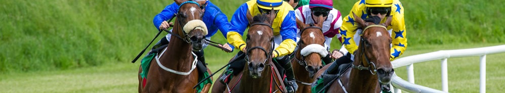 Betting Zone