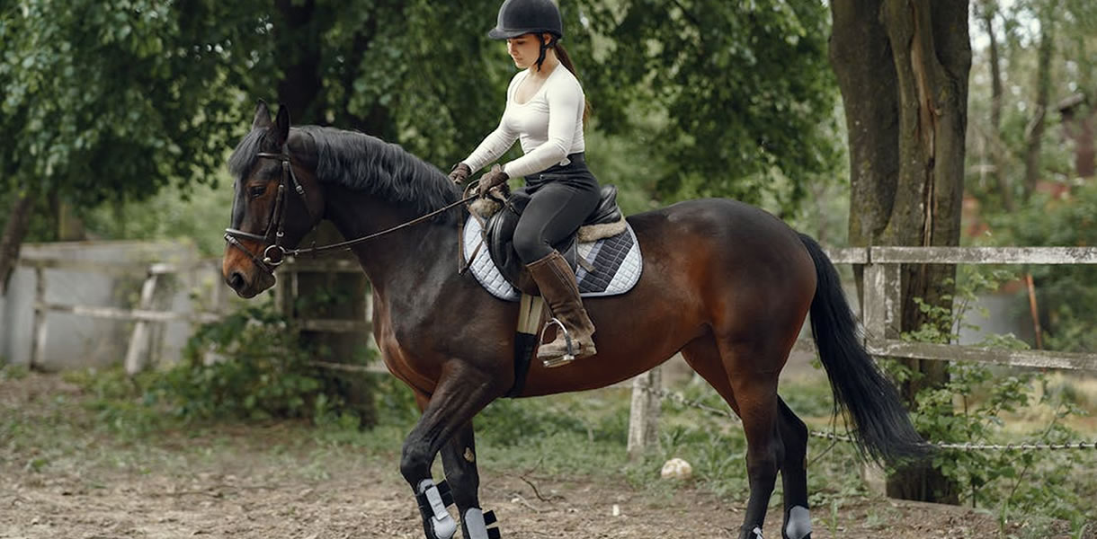 Horse Riding Holidays
