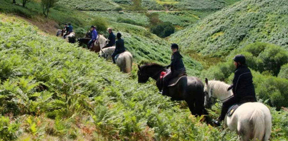 3 Day Valley Trail Horse Riding Holiday in England, UK