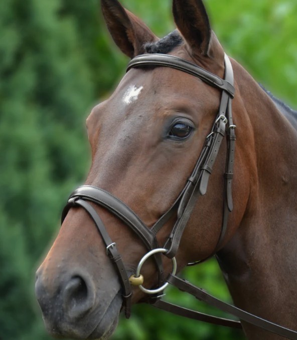 Shires Velociti GARA Plain Bridle.
